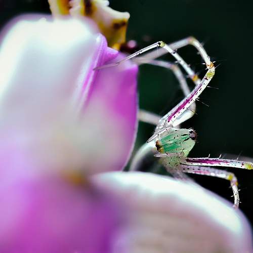 Photo #10565455