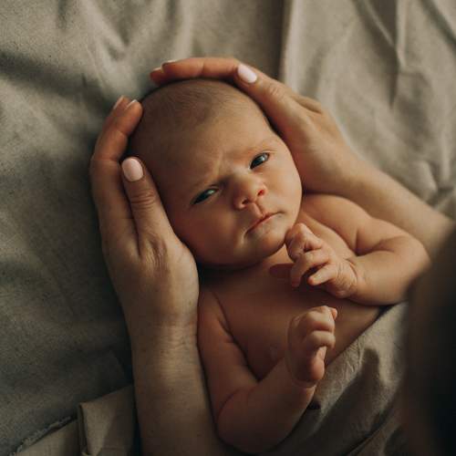 Photo #10565529