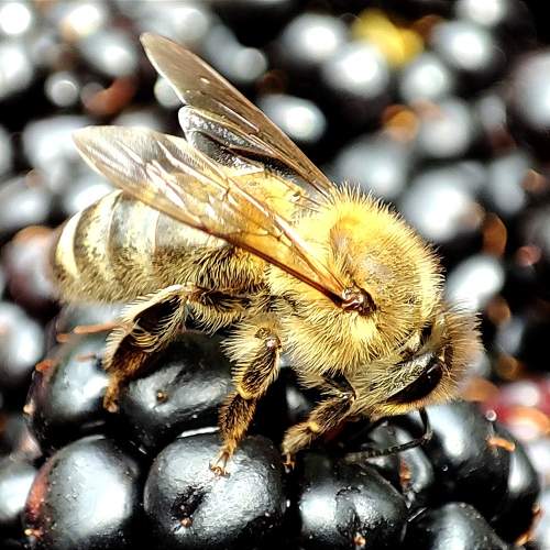 Photo #10565616