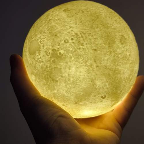 Photo #10565677
