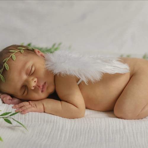 Photo #10565793