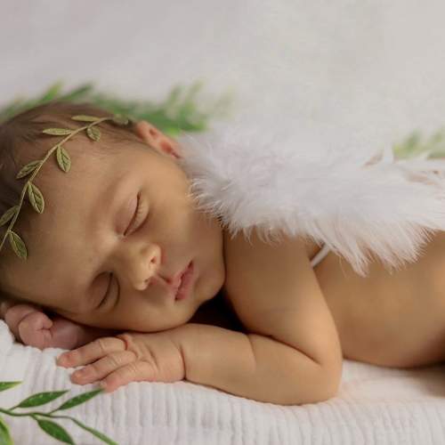 Photo #10565794