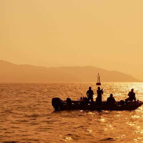 Photo #10565906