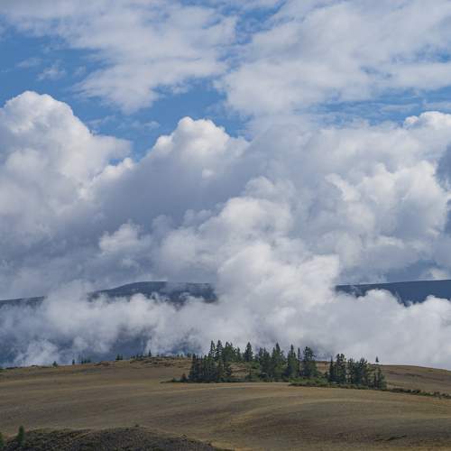 Photo #10566107