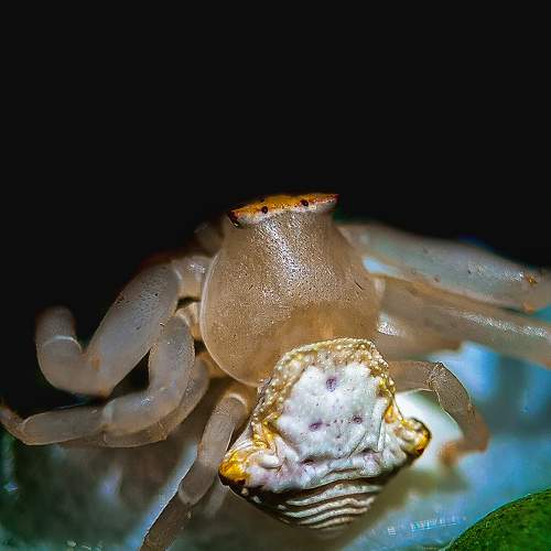 Photo #10566282