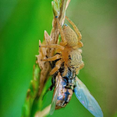 Photo #10566285