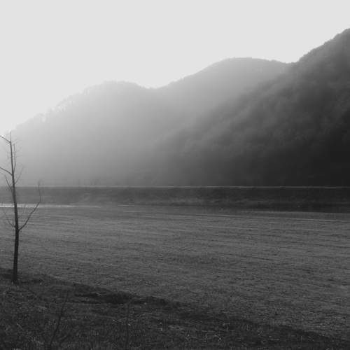 Photo #10566425