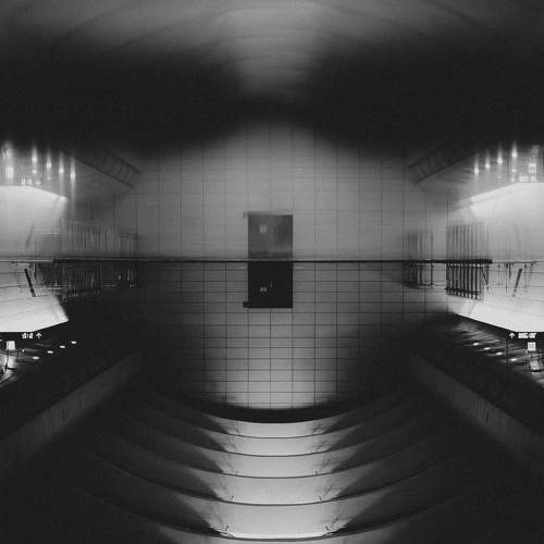 Photo #10566428