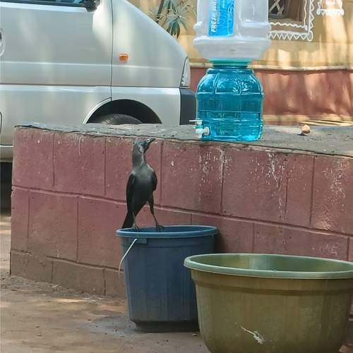Photo #10566508