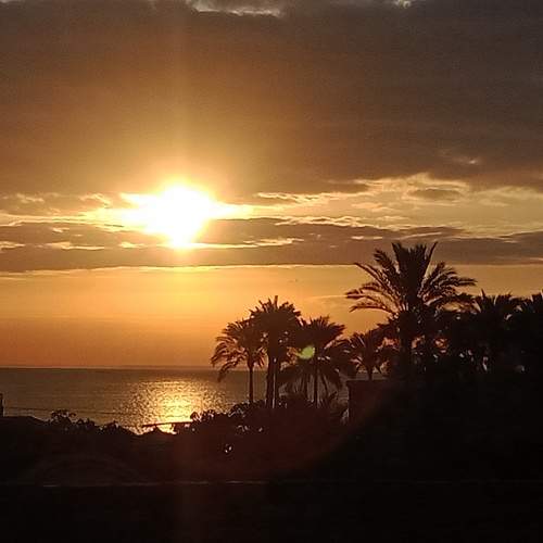 Photo #10566720