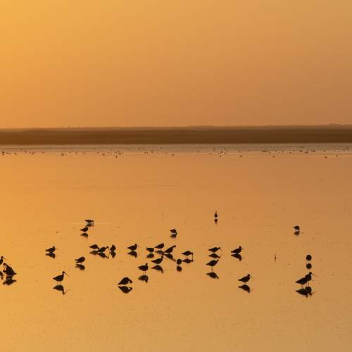 Photo #10566993