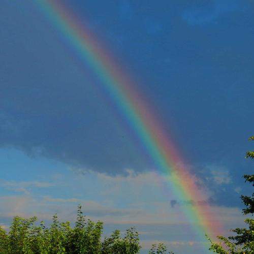Photo #10567330
