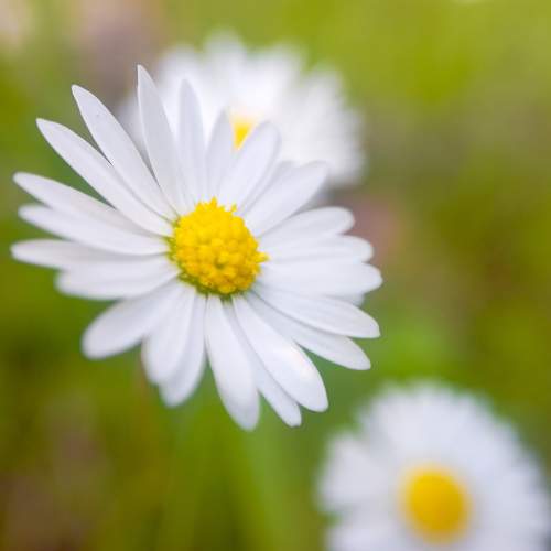 Photo #10567350