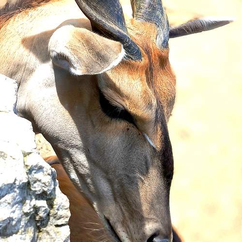 Photo #10567762