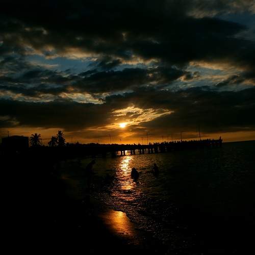 Photo #10567804