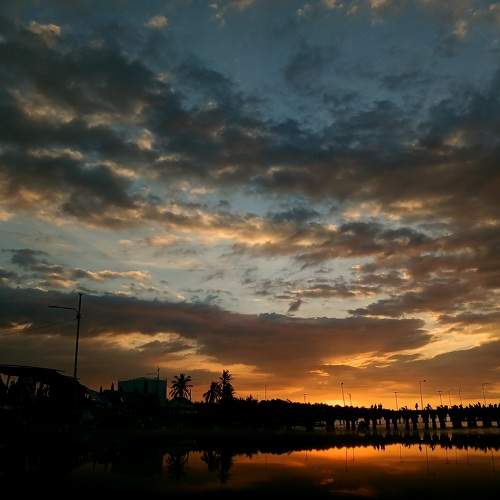 Photo #10567805