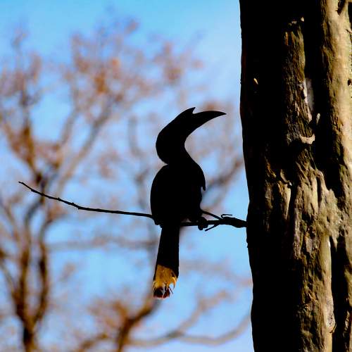 Photo #10568927