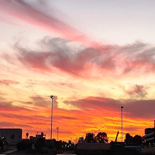 Photo #10569123