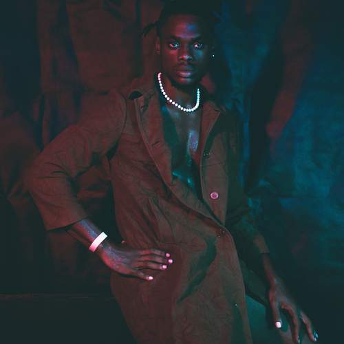 Photo #10569304