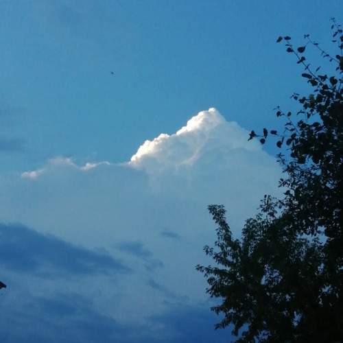 Photo #10569619