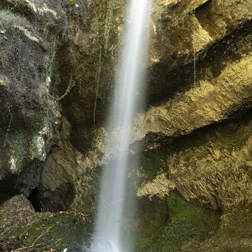 Photo #10569706