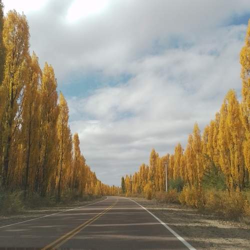 Photo #10569788