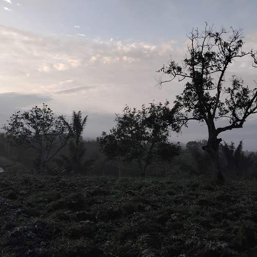Photo #10569984