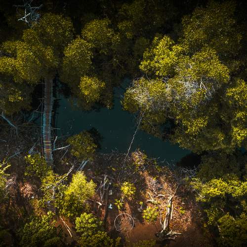 Photo #10569985