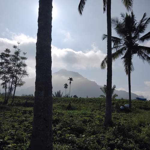 Photo #10569989