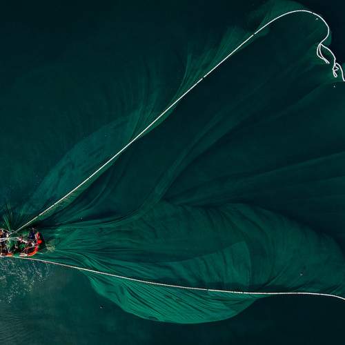 Photo #10570104