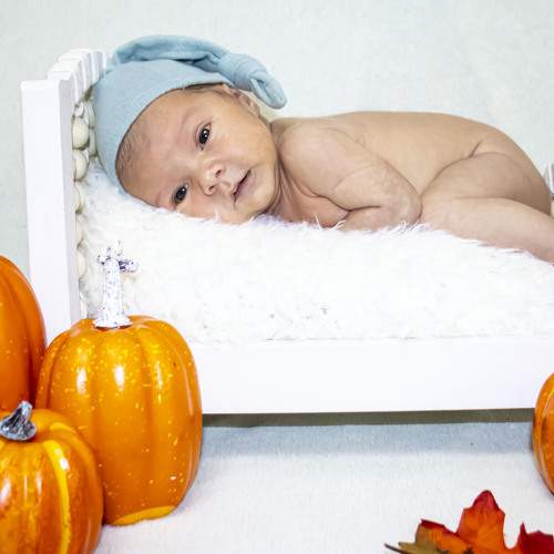 Photo #10570283