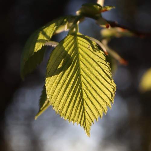 Photo #10570395