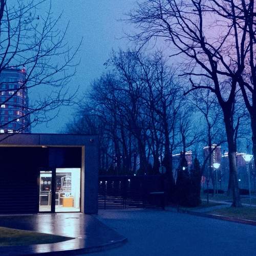 Photo #10570556