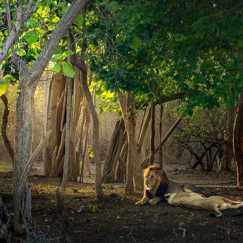The king queen and their territory.