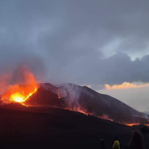Photo #10570822