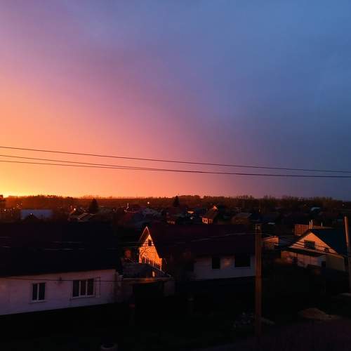 Photo #10570921