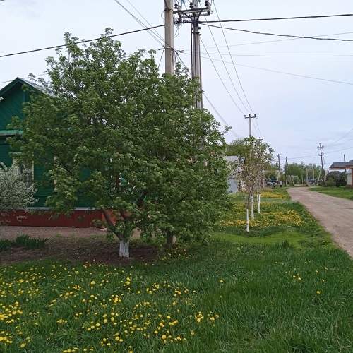 Photo #10570964