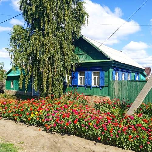 Photo #10571001