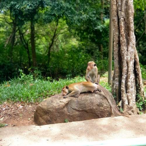 Photo #10571137