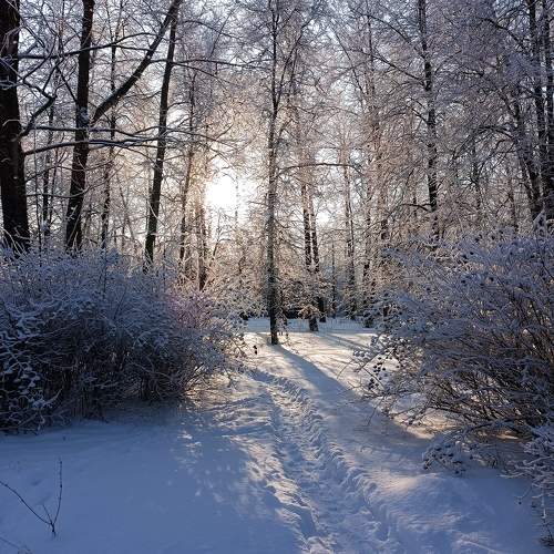 Photo #10571710