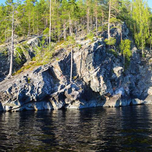 Photo #10572122