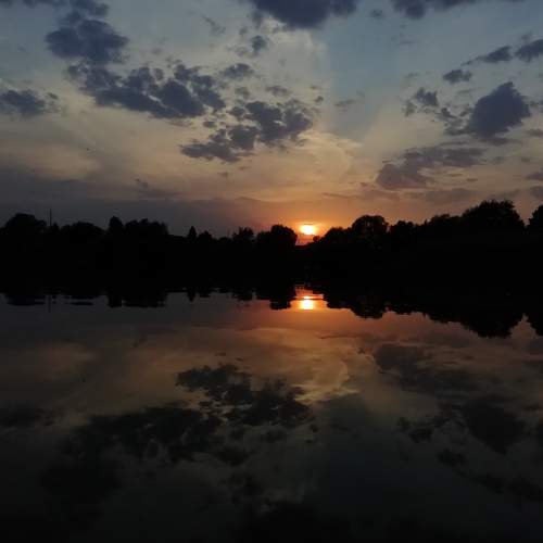 Photo #10572168