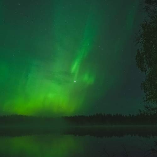 Photo #10572646
