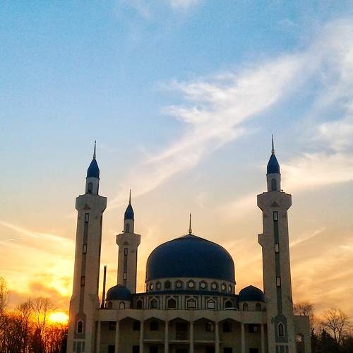 Photo #10573526