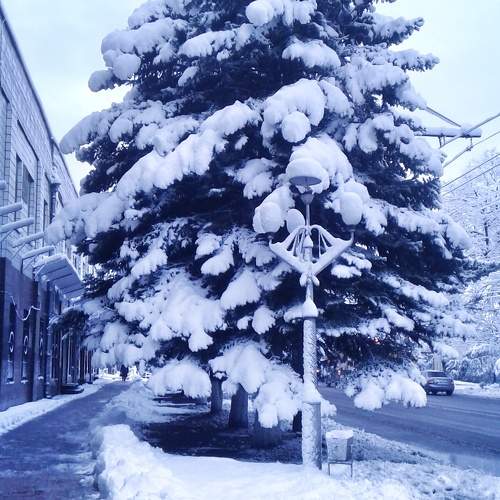 Photo #10573539