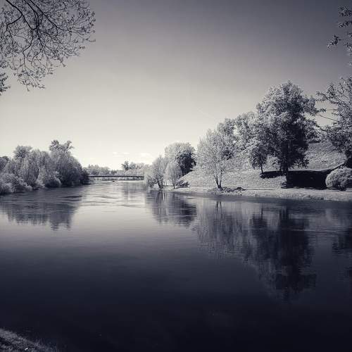 Photo #10573588