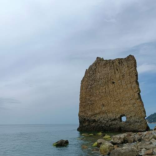 Photo #10573816