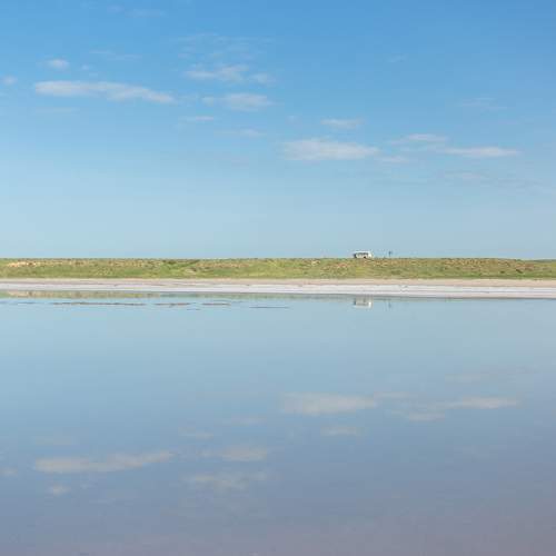 Photo #10573966
