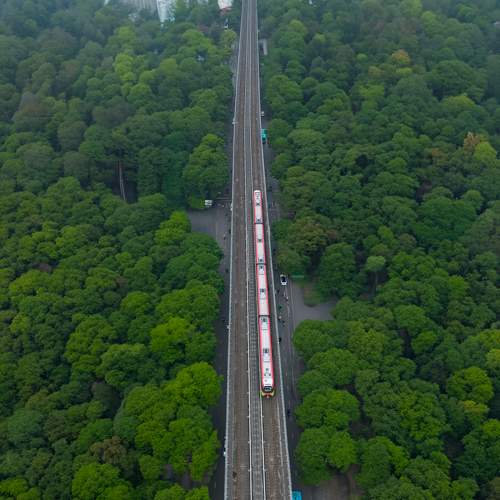Photo #10573967