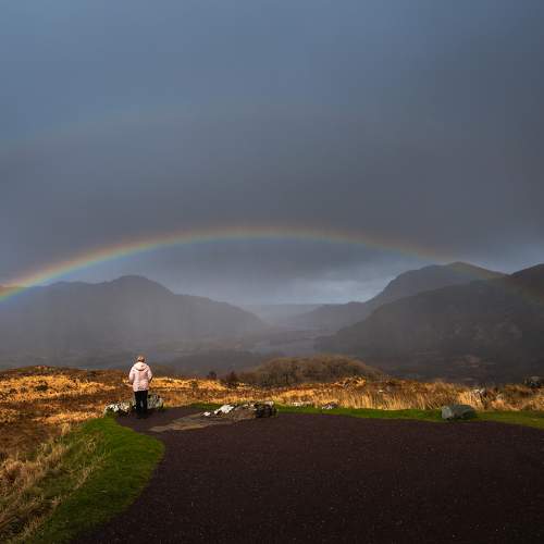 Photo #10574231